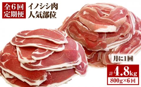 【6回定期便】≪脊振ジビエ≫イノシシ肉人気部位 総量4.8kg【ブイマート・幸ちゃん】 [FAL060]