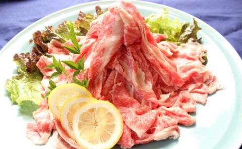 佐賀産和牛1.1kg 切り落とし【plan】[FBF003]