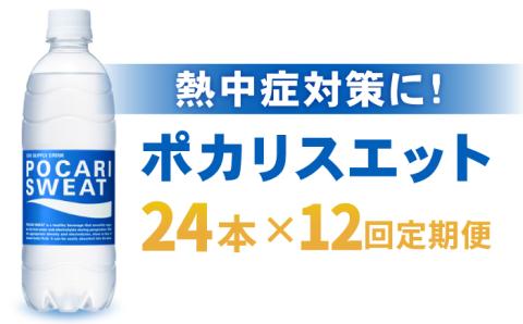 【熱中症対策】＜12回定期便＞500ml 1箱（24本）×12回 ポカリスエット【大塚製薬】 [FBD008]