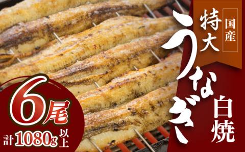 ふっくらジューシーのこだわり国産うなぎの白焼 6枚セット【丸安】 [FAD017]