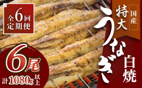 ふっくらジューシーのこだわりうなぎ【6回定期便】国産うなぎの白焼 6枚セット×6回【丸安】 [FAD019]