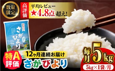 〈受付一時停止中〉【数量限定】【12回定期便】【令和5年産】さがびより 計60kg（5kg×12回）吉野ヶ里町/増田米穀 [FBM038]