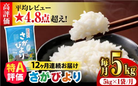 〈受付一時停止中〉【5kg×12回定期便】【令和5年産】さがびより 計60kg（5kg×12回）吉野ヶ里町/増田米穀 [FBM004]