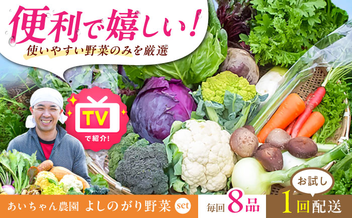 【8品】農薬に頼らない！カラダにやさしい「よしのがり野菜」セット（ショート）吉野ヶ里町/あいちゃん農園[FAA001]