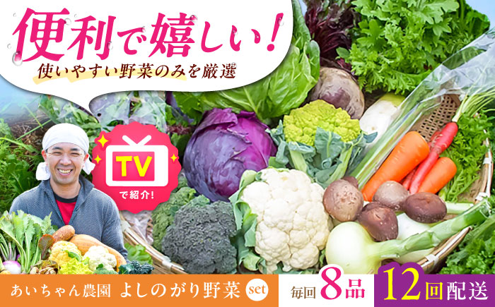【8品 / 12回定期便】農薬に頼らない！カラダにやさしい「よしのがり野菜」セット（ショート）吉野ヶ里町/あいちゃん農園[FAA002]