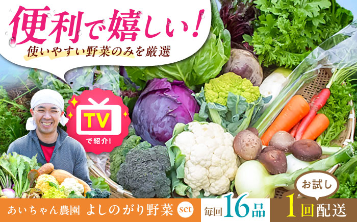 【16品】農薬に頼らない！カラダにやさしい「よしのがり野菜」セット（ラージ）吉野ヶ里町/あいちゃん農園[FAA009]