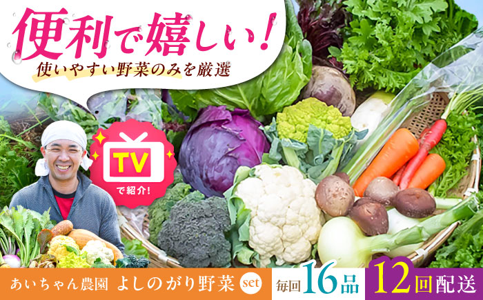 【16品 / 12回定期便】農薬に頼らない！カラダにやさしい「よしのがり野菜」セット（ラージ）吉野ヶ里町/あいちゃん農園[FAA010]