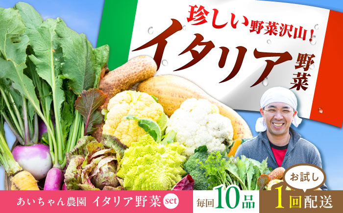 【10品】農薬に頼らない！カラダにやさしい「イタリア野菜」セット（レギュラー）吉野ヶ里町/あいちゃん農園[FAA017]