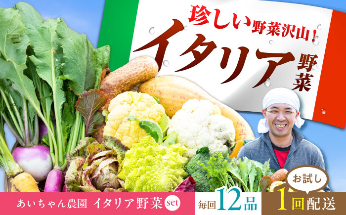 【12品】農薬に頼らない！カラダにやさしい「イタリア野菜」セット（ラージ）吉野ヶ里町/吉野ヶ里あいちゃん農園[FAA021]