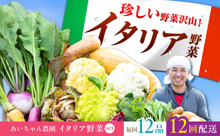 【12品×12回定期便】農薬に頼らない！カラダにやさしい「イタリア野菜」セット（ラージ）吉野ヶ里町/あいちゃん農園[FAA022]