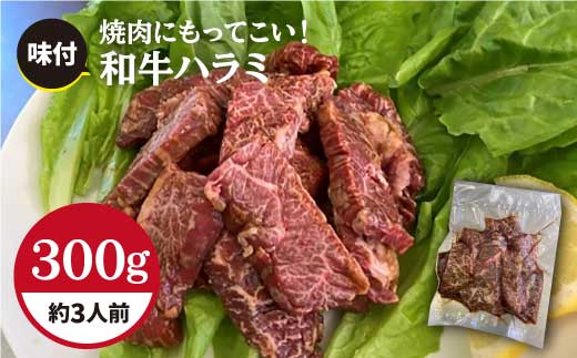【食べやすい味付け】ホルモン専門店の和牛ハラミ300g （約3人前）【三田川ホルモン専門店】吉野ヶ里町 [FAC003]