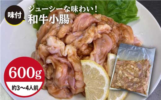 プリプリで味わい深い！ホルモン専門店の和牛小腸 600g（約3?4人前）【三田川ホルモン専門店】吉野ヶ里町 [FAC007]