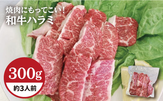 【味付】ホルモン専門店の和牛ハラミ300g （約3人前）吉野ヶ里町[FAC014]