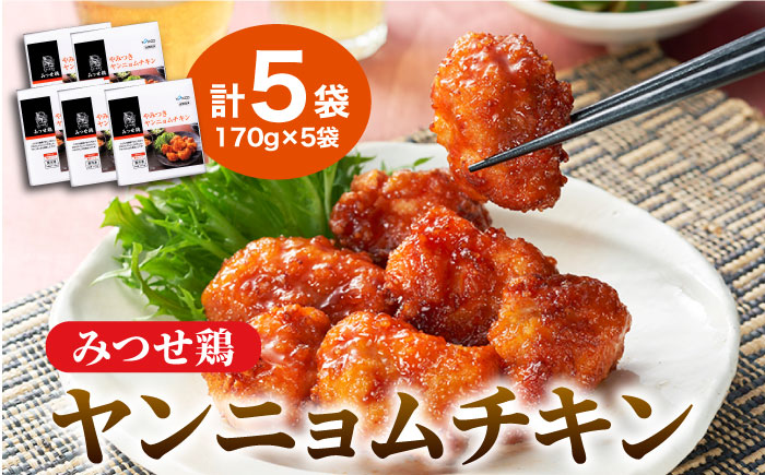 【スピード発送】＜宅呑みに是非！＞みつせ鶏ヤンニョムチキン170g×5袋 吉野ヶ里町/ヨコオフーズ 惣菜[FAE123]