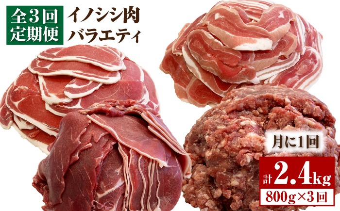 ≪脊振ジビエ≫イノシシ肉バラエティ3回定期便 総量2.4kg 吉野ヶ里町/ブイマート・幸ちゃん[FAL056]