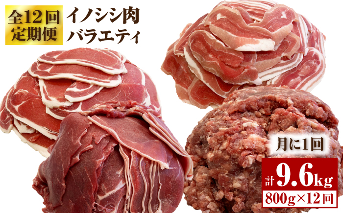 ≪脊振ジビエ≫イノシシ肉バラエティ12回定期便 総量9.6kg【ブイマート・幸ちゃん】 [FAL058]