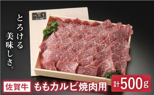 とろける美味しさ 佐賀牛ももカルビ焼肉用 500g【アスタラビスタ】 [FAM004]