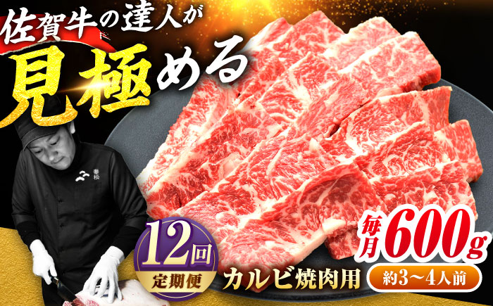【2026年2月以降発送開始】【全12回定期便】高評価!  佐賀牛 カルビ 600g 肉 牛 牛肉 吉野ヶ里町/ミートフーズ華松 [FAY104]