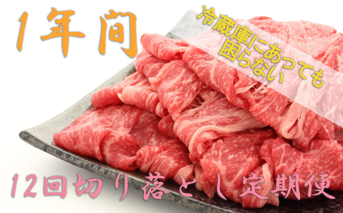 【1年間】冷蔵庫にあって困らない！高級切り落とし、佐賀牛定期便 [FAZ041]