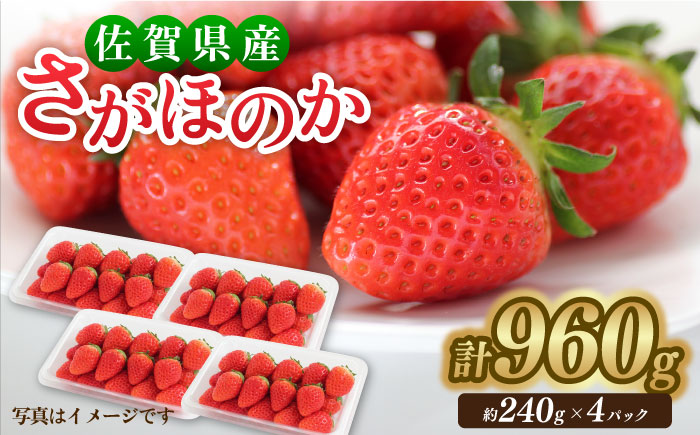 【1月中旬～3月中旬発送】みずみずしい果肉！さがほのかレギュラーパック4P 240g×4 いちご イチゴ 苺 フルーツ 果物 佐賀 吉野ヶ里町/リエンサーク [FCC001]