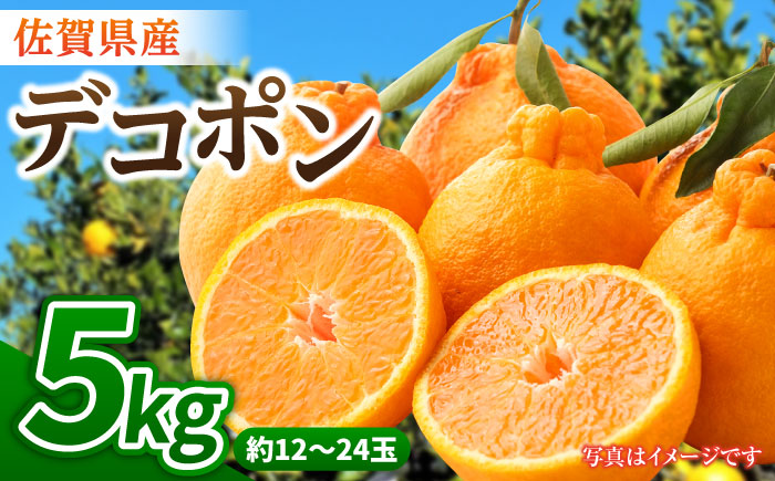 【1月中旬～3月下旬発送・バランスの良い酸味と甘味】佐賀県産 みかん「デコポン」5kg 吉野ヶ里町/リエンサーク [FCC007]