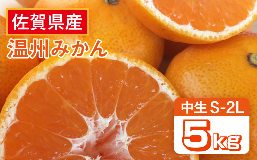 【10月上旬頃～1月上旬発送】こたつで美味しいみかんを♪ 佐賀県産 中生みかん 5kg  みかん ミカン 蜜柑 フルーツ ふるーつ 果物 くだもの 吉野ヶ里町/リエンサーク [FCC010]