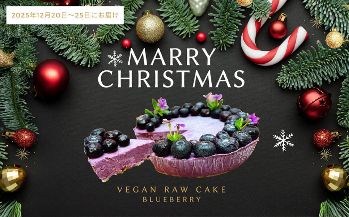 【限定50個】クリスマス限定☆植物性100％ Vegan Raw Cake blueberry（ブルーベリー/Mサイズ）お砂糖・小麦粉・乳製品不使用のスイーツ ヴィーガンローケーキ 【12月20～25日お届け】 吉野ヶ里町/どんどん良くなる [FCF071]