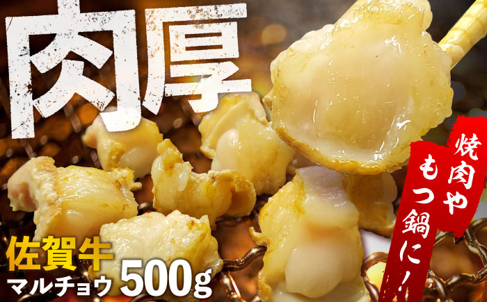 【脂が甘くてぷりっぷり！】佐賀牛ホルモン 焼肉用 小腸 500g（250g×2）味付けなし 吉野ヶ里町/やきとり紋次郎 [FCJ089]