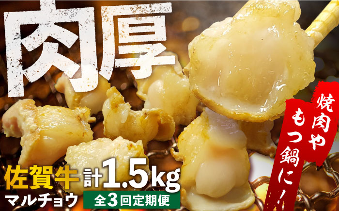 【全3回定期便】 【脂が甘くてぷりっぷり！】佐賀牛ホルモン 焼肉用 小腸 計1.5kg（250g/袋）味付けなし 吉野ヶ里町/やきとり紋次郎 [FCJ091]