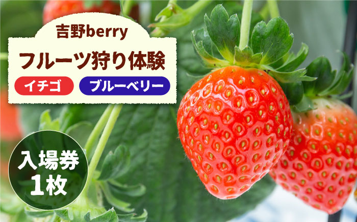 吉野ベリー入場券（1枚） 吉野ヶ里町/吉野麦米 イチゴ狩り ブルーベリー狩り [FCR001]