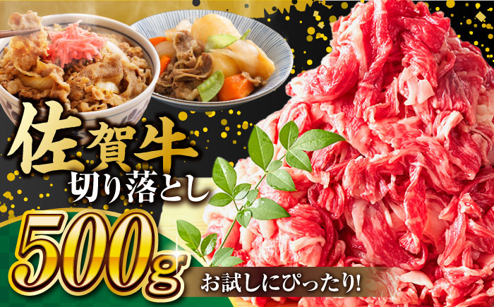 艶さし！ 佐賀牛 切り落とし 肩orバラ 500g 吉野ヶ里町 [FDB006]