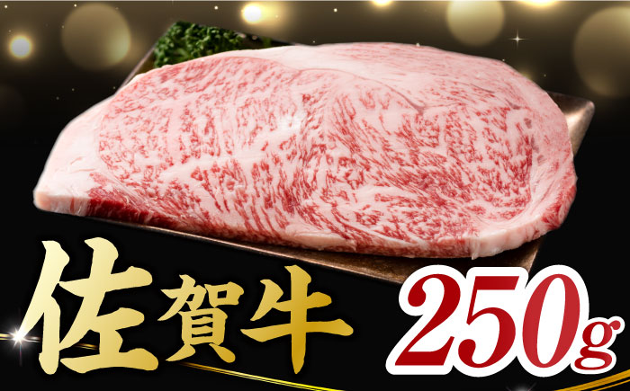艶さし ！ 佐賀牛 サーロインステーキ 250g （250g×1枚） 吉野ヶ里町 ステーキ[FDB009]