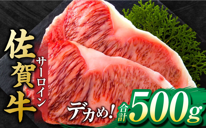 艶さし ！ 佐賀牛サーロインステーキ 500g （ 250g ×2枚） 吉野ヶ里町 ステーキ[FDB010]