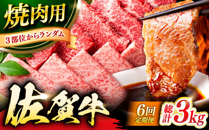 【6回定期便】 艶さし！ 佐賀牛 焼肉用 計3kg （500g×6回）  ※バラ・肩ロース・モモのいずれかの部位※ 吉野ヶ里町 [FDB034]