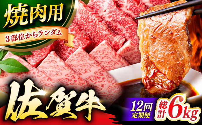 【12回定期便】 艶さし！ 佐賀牛 焼肉用 計6kg （500g×12回）  ※バラ・肩ロース・モモのいずれの部位※ 吉野ヶ里町[FDB035]
