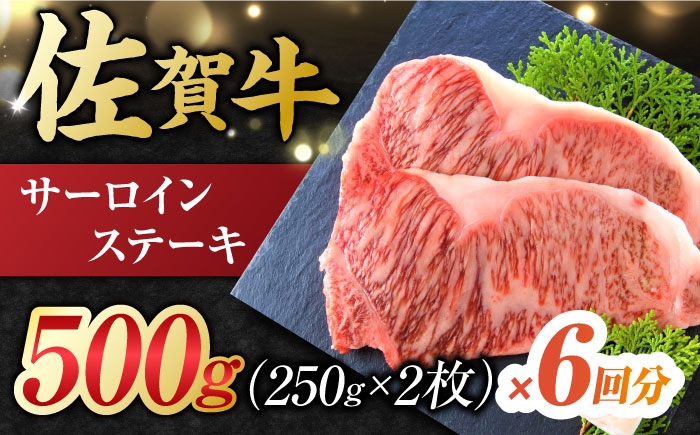 【6回定期便】 艶さし！ 佐賀牛 サーロインステーキ 計3kg （250g×2枚×6回） 吉野ヶ里町 [FDB040]