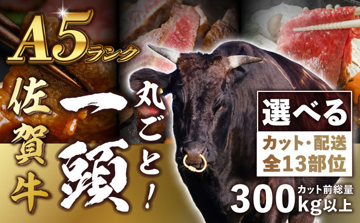 【一頭丸ごとオーダー！】 A5 佐賀牛 一頭食べ尽くしセット 黒毛和牛 オーダーカット 吉野ヶ里町/株式会社MEAT PLUS [FDB066]