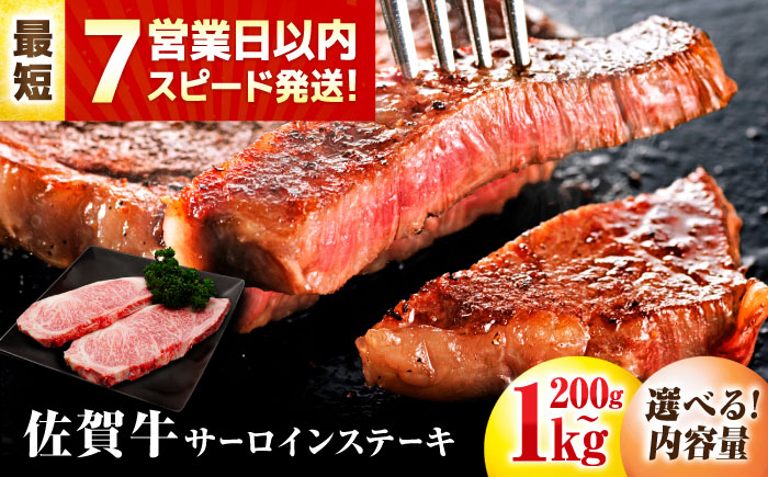 【7営業日以内発送！】 佐賀牛 サーロインステーキ 500g(250g×2) 吉野ヶ里町/丸宗ミート [FDP028] 500g