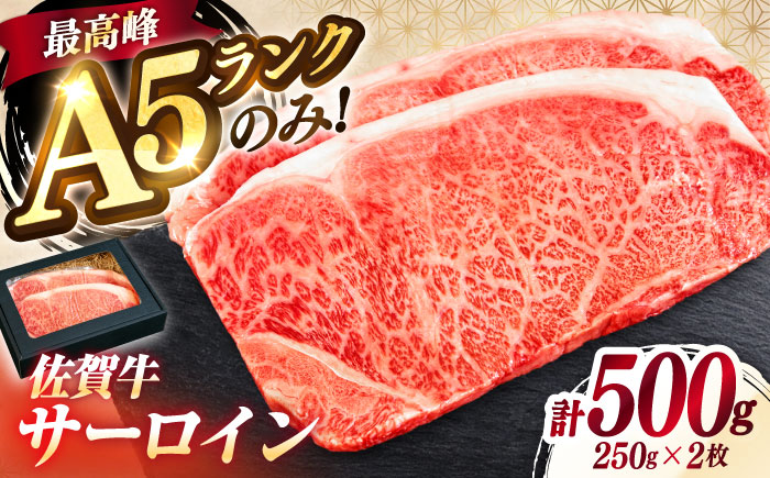 極上 佐賀牛 赤身 A5 サーロイン ステーキ 250g × 2枚 サーロインステーキ ロースステーキ 吉野ヶ里町/KRAZY MEAT [FDR002]