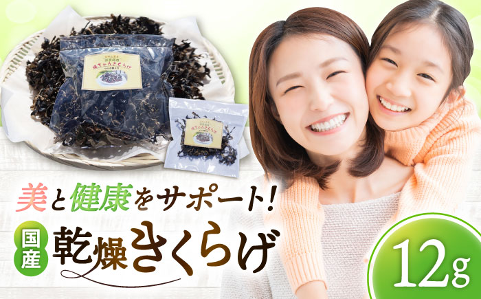 吉野ヶ里産 フルボ酸入り 福ちゃん 乾燥きくらげ 12g きくらげ キクラゲ [FDS001]