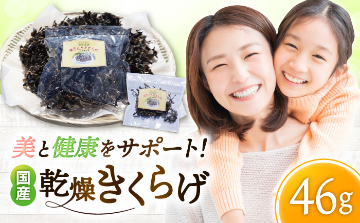 吉野ヶ里産 フルボ酸入り 福ちゃん 乾燥きくらげ 46g きくらげ キクラゲ [FDS002]