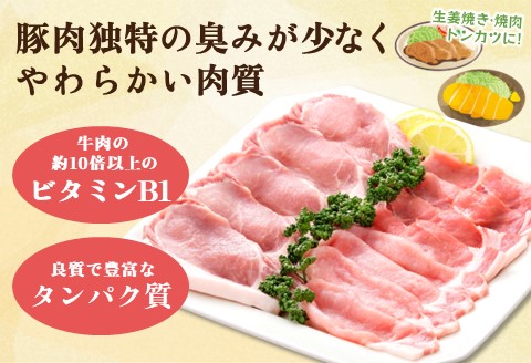肥前さくらポーク詰合せCセット(さくらポークとんかつ5枚・生姜焼き500g・焼肉用300g)【JA 美味しい やわらか ジューシー 高品質 ビタミン タンパク質 限定生産 冷凍】 K012049