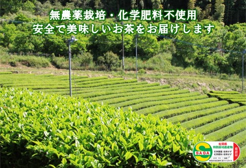 【無農薬栽培】粉末緑茶・緑茶ティーバッグ詰め合わせセット【お茶 緑茶 粉末 特上 煎茶 ティーバッグ 無農薬 飲みやすい】 K009009