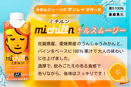 サンレイ ミチルン【チルスムージー みかんジュース パインジュース 100％ 濃厚 朝食 お風呂上り ふるさと納税 お土産 ギフト 】K012054