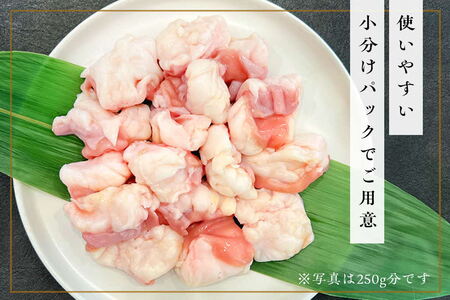 〈口どけなめらか〉梁井 ぷりぷりホルモン 1kg(小腸)【コラーゲン 牛もつ 小腸 ぷりぷり 弾力 焼肉 鍋 もつ鍋 味噌煮込み 小分け パック】K081036