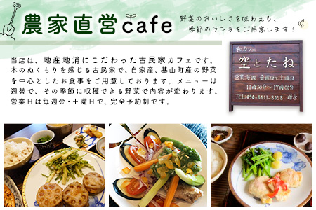 空とたね 食事券＆収穫体験＆加工品セット【ランチ 古民家カフェ 和カフェ 地産地消 アスパラ 野菜 旬】K093008