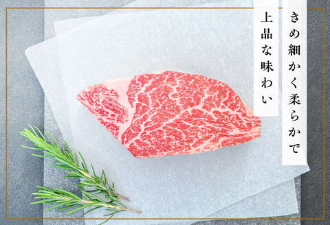 《佐賀牛》「梁井」希少部位 ヒレステーキ 2枚 400g【佐賀牛 ヒレステーキ フィレステーキ ヒレ肉 フィレ やわらか 上質 サシ 美味しい パーティー イベント ブランド肉】 K081033