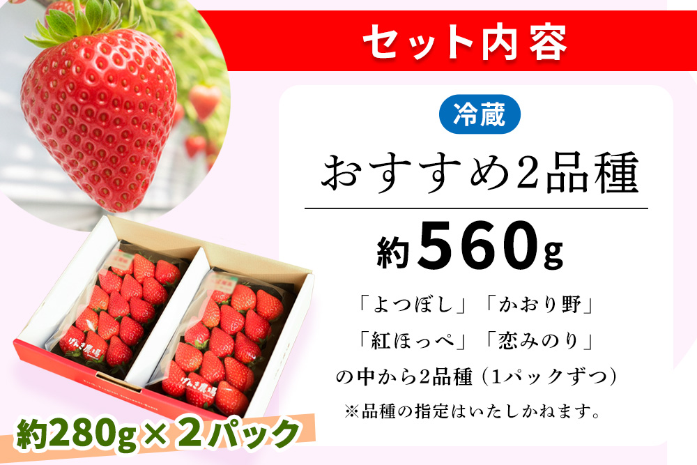 【先行受付 2026年1月より発送】【農場直送！】いちご2品種食べ比べ(約280g×2P)【ふるさと納税 基山町産 いちご イチゴ 朝採れ 完熟果】K100009