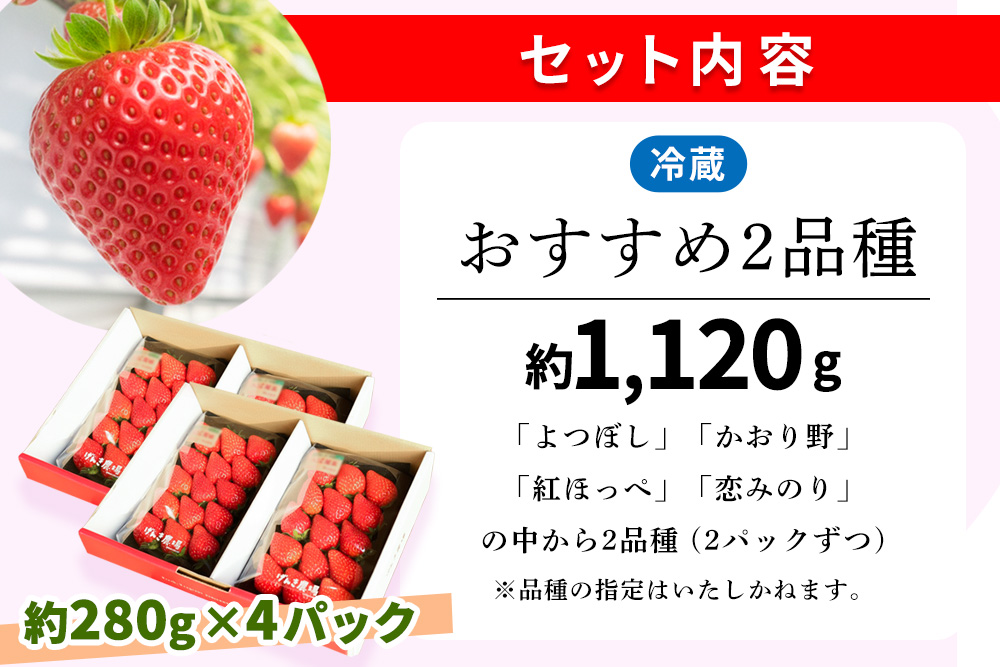【先行受付 2026年1月より発送】【農場直送！】いちご2品種食べ比べ(約280g×4P)【ふるさと納税 基山町産 いちご イチゴ 朝採れ 完熟果】K100010