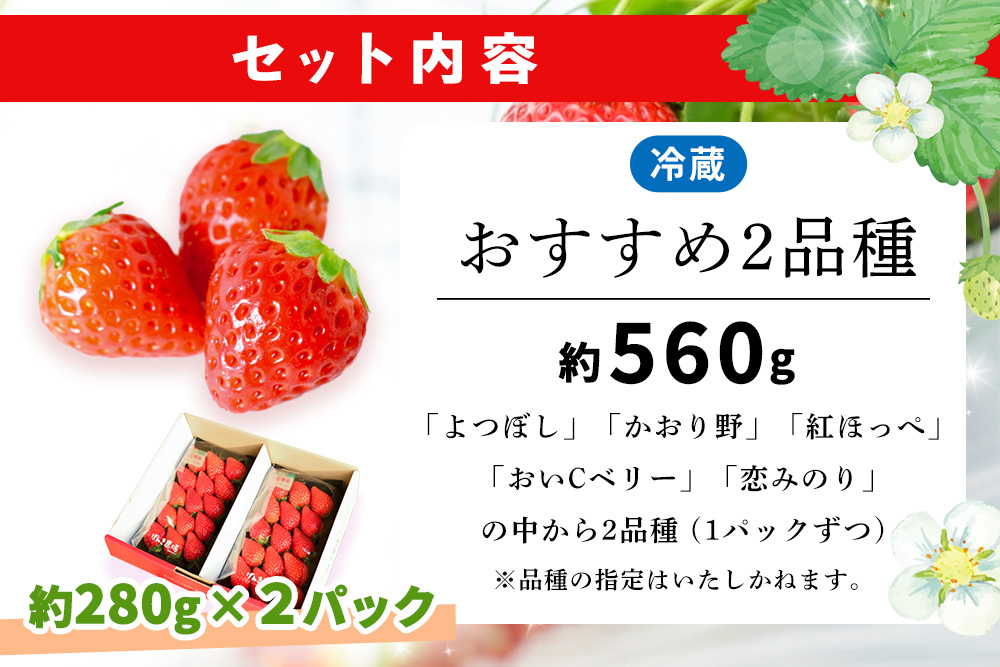 【農場直送いちご】いちご2品種食べ比べ(約280g×2P)【ふるさと納税 基山町産 イチゴ 朝採れ 完熟果 KBCテレビ「ふるさとwish」で紹介されました】K100032